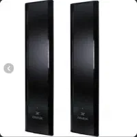 دزدگیر ( گیت ) لباس