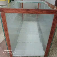 آکواریوم|ماهی|شیراز, شهرک بهار|دیوار