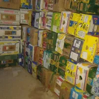 کارتن  موزی خارجی ایرانی