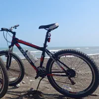 Viva rattler Lx 26