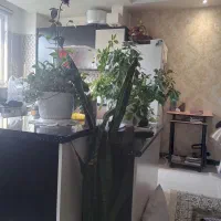 56-متر-2-خوابه-طبقه-دوم-تک-واحدی