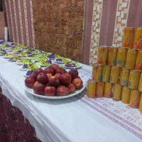 زیارت کربلا عتبات/یک شب اسکان رایگان درقم قبل حرکت