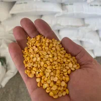 فروش حبوبات بدون آشغال|عمده‌فروشی|یاسوج, |دیوار