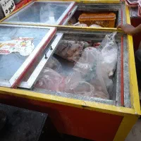 بچه فیله