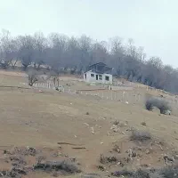 زمین کوهستانی