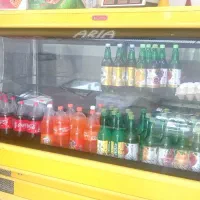 یخچال ویترینی آریا