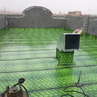 ایزوگام الماس شرق یزدان پناه       فروش شرایط ویژه|خدمات پیشه و مهارت|تربت‌حیدریه, شهید بهشتی|دیوار