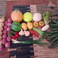 سبزیجات مصنوعی با دو میوه هندوانه و طالبی