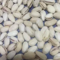 پسته مستقیم از کشاورز