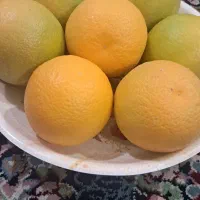 فروش پرتقال