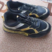 گل و گلدان|گل مصنوعی|کرمانشاه, |دیوار