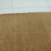 موکت پرز بلند|موکت|نیشابور, بزرگمهر|دیوار