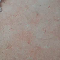 بخاری و گلیم و موکت|موکت|مریوان, |دیوار