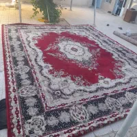 قالی ۲۴متری