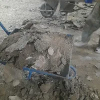 کودمرغی گاوی گوسفن