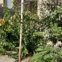 ویلایی دو طبقه محله ب۱|فروش خانه و ویلا|فولادشهر, B1|دیوار