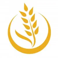 برنج هاشمی درجه 1