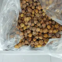 خشکبار|خوردنی و آشامیدنی|قم, نیروگاه|دیوار