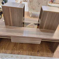 میز جلو مبلی و عسلی|مبلمان خانگی و میز عسلی|رشت, کاکتوس|دیوار