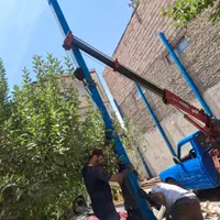 جرثقیل نیسان جرثقیل|خدمات حمل و نقل|مشهد, توس (بلوار توس)|دیوار