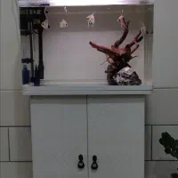 آکواریوم K580 شرکتی دلسا