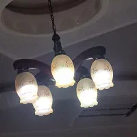 لوسترچوبی دو عدد