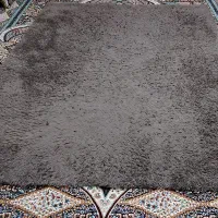 موکت