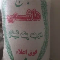 برنج هاشمی تالش کشاورز