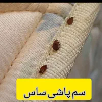 سمپاشی ساس.سوسک سم پاشی موش کنه گال و تمام حشرات|خدمات نظافت|مشهد, ولیعصر (شهرک غرب)|دیوار