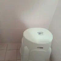 دستشوسی فرنگی