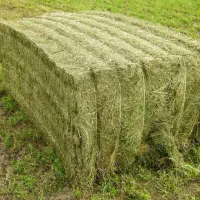 پرس یونجه خشک