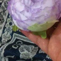 کار‌ در‌ منزل