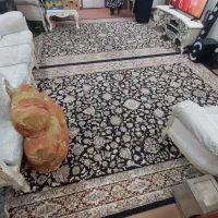 آپارتمان ۷۵ متری دوخوابه با آسانسور و بالکن|اجارهٔ آپارتمان|تهران, کیانشهر|دیوار