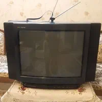 تلویزیون