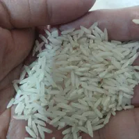 طارم  معطر و خوش پخت مجلسی|خوردنی و آشامیدنی|قم, بنیاد|دیوار