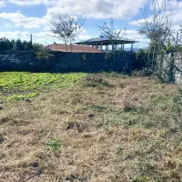 زمین پیشنهادی برای ساخت ساز،طرح هادی|فروش زمین و ملک کلنگی|رضوانشهر, |دیوار