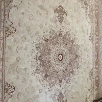 فرش ۱۲ متری و ۹ متری و ۳ عدد باریکه مرینوس|فرش|شیراز, آزادگان|دیوار
