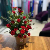 استخدام در مزون لباس مجلسی