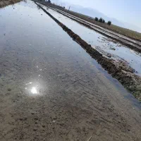 تسطیح لیزری