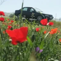 مسافر از تهران به مرز مهران