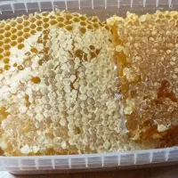 عرضه عسل درمانی کوهستانی|خوردنی و آشامیدنی|مرند, |دیوار