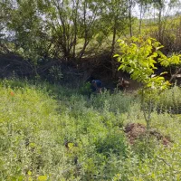 فروش باغ روستای جبارآباد