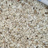 خوب لوبیا آش