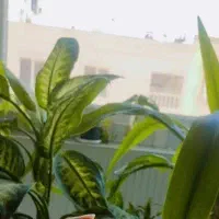 نیازمند فروشنده خانم