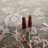 یک جفت سرولف دوچرخه