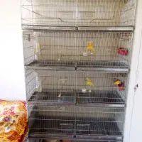 قفس پرون تاشو اردشیری