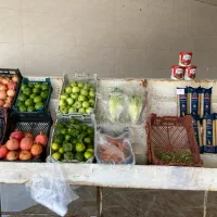 سوپر میوه و تربار|خوردنی و آشامیدنی|اهواز, پردیس دو|دیوار