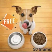 غذای سگ و گربه