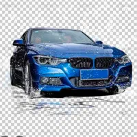 کارگرکارواش ماهر