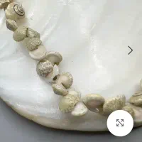 گردنبند حلزونی نو مناسب هدیه